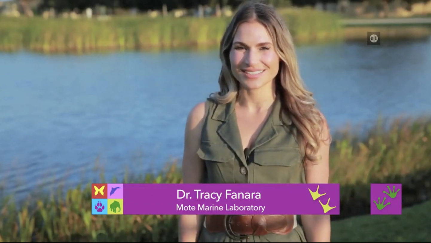 Inspector Planet with Dr. Tracy Fanara- Plastic Waste